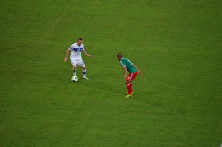 开云体育登录-罗马绝杀巴萨，费兰·托雷斯统治全场