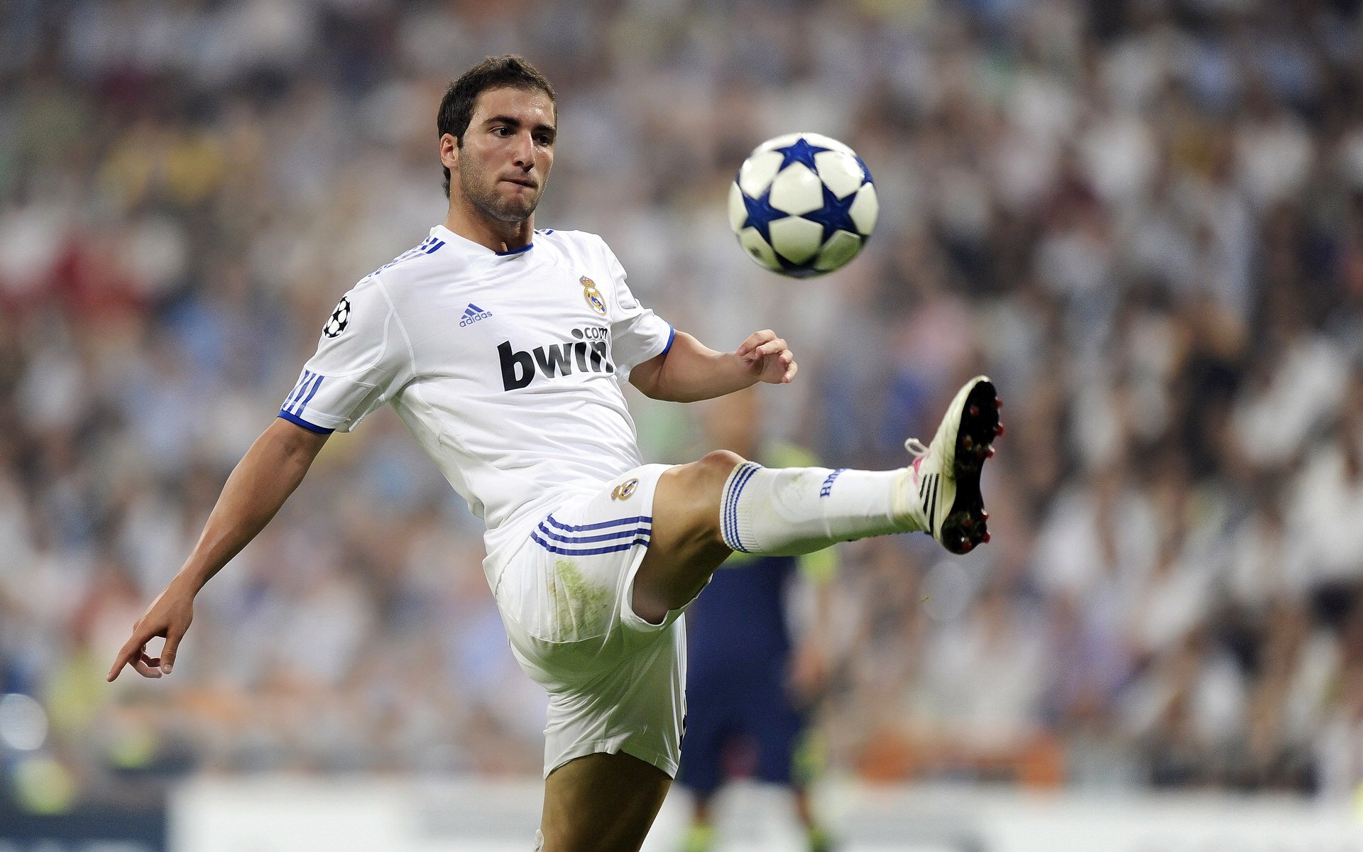 锡安节奏完全掌控，猛龙提前终结悬念步行者